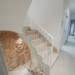 Casa Els Pardos